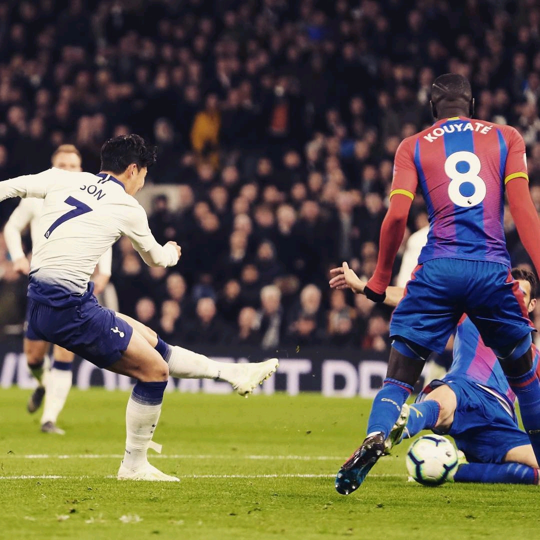 来可能会从 来可能会从